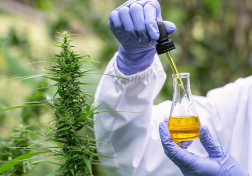 What is the Difference Between Hemp Extract and CBD?