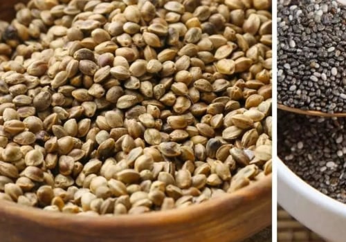 Can Hemp Seeds Help You Lose Weight?