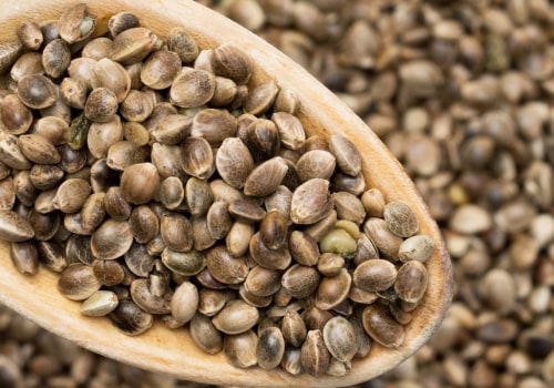 Will Eating Hemp Seeds Make You Fail a Drug Test?